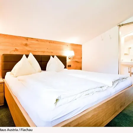 Apartment In Salzburger Land 316 Flachau