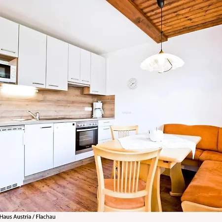 Apartment In Salzburger Land 316 Flachau